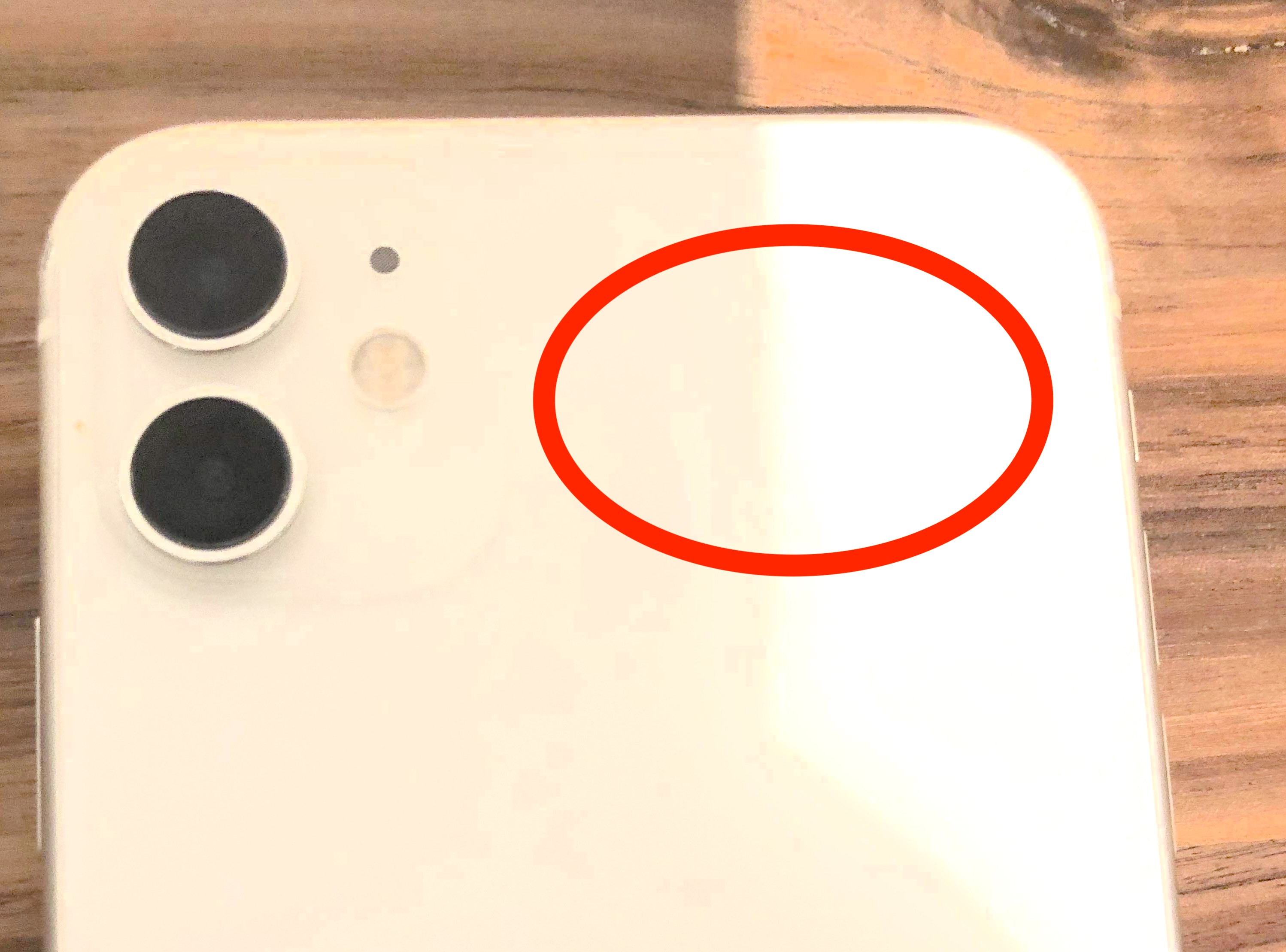 280686788_1001682637380272_3534276140518252637_n.jpg